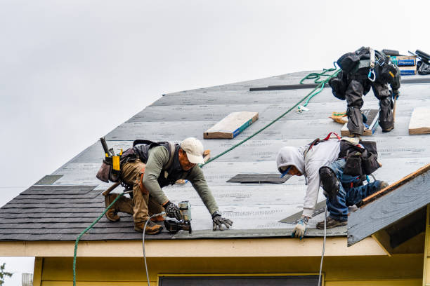 Professional Storm Damage Roof Repair technician working in Cross Fork, PA